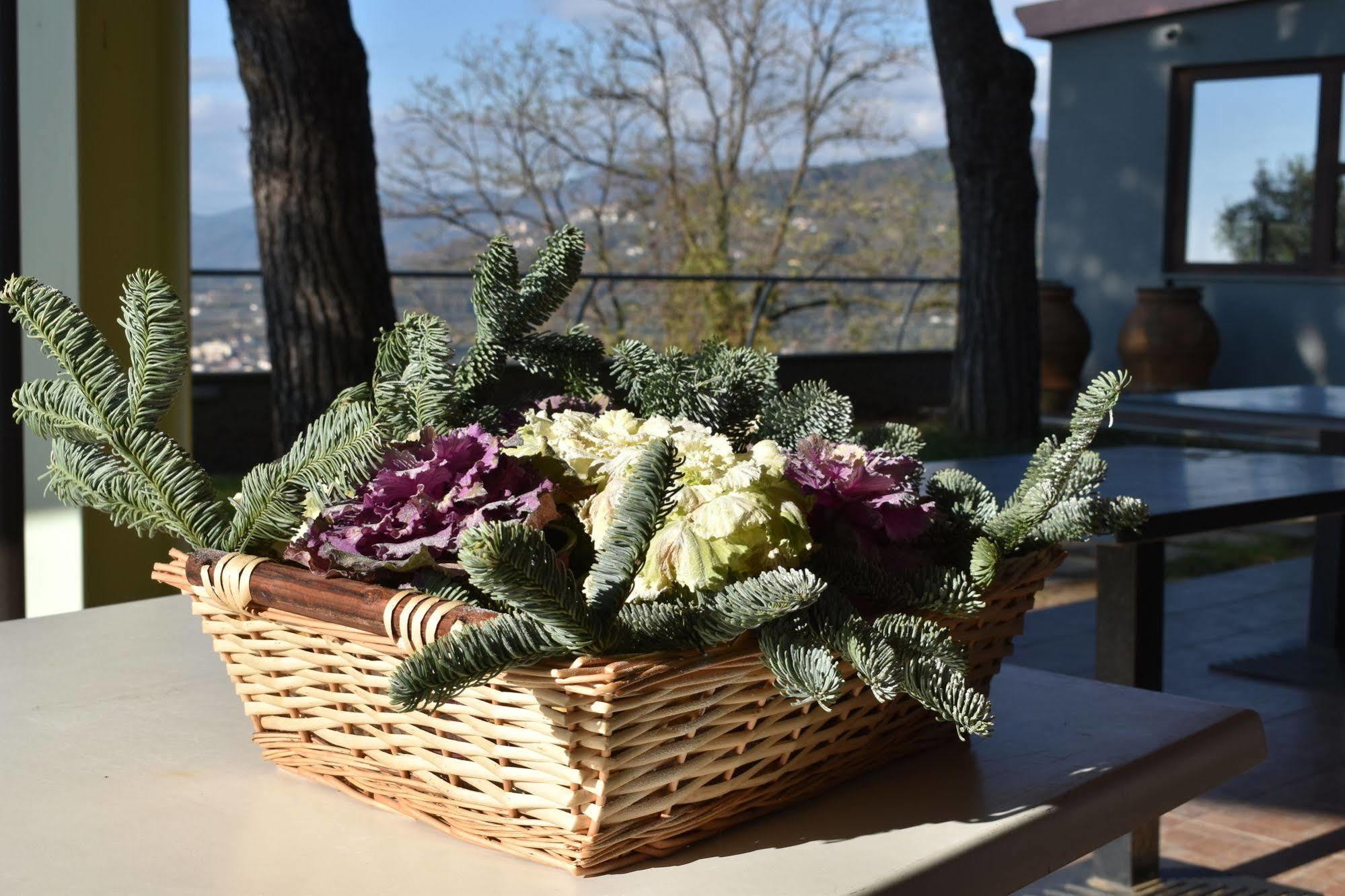 La Trigola Hotel 3*