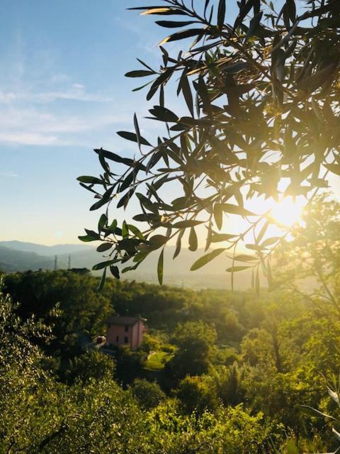 La Trigola La Spezia